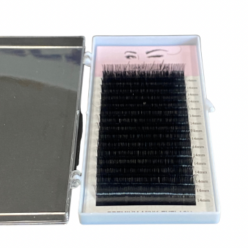 F76e608d d78a 4134 b833 74f9b49ee70e